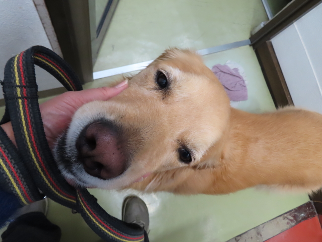 ファイル 8448-4.jpg