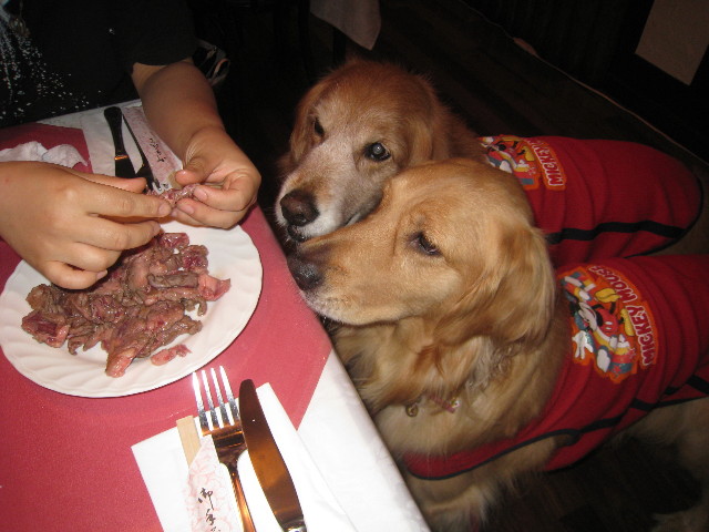 ファイル 845-2.jpg