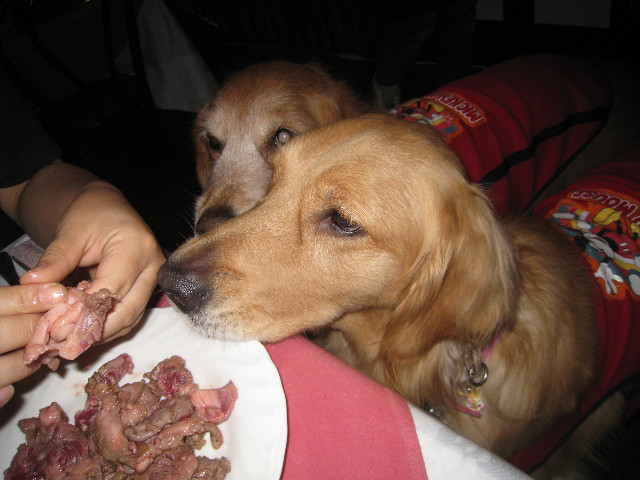 ファイル 845-3.jpg