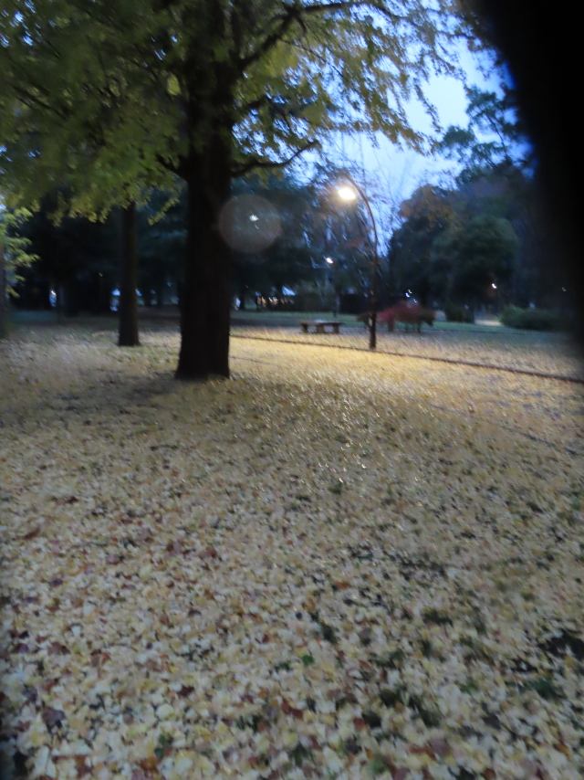 ファイル 8450-5.jpg