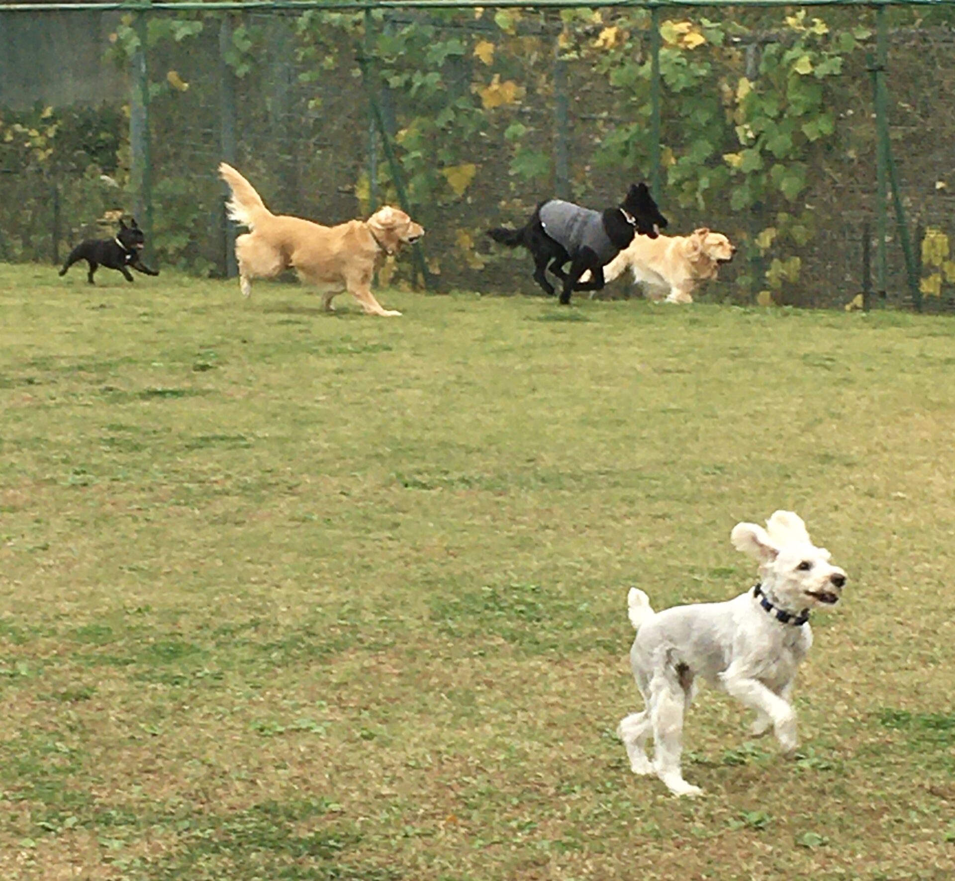 ファイル 8451-3.jpeg