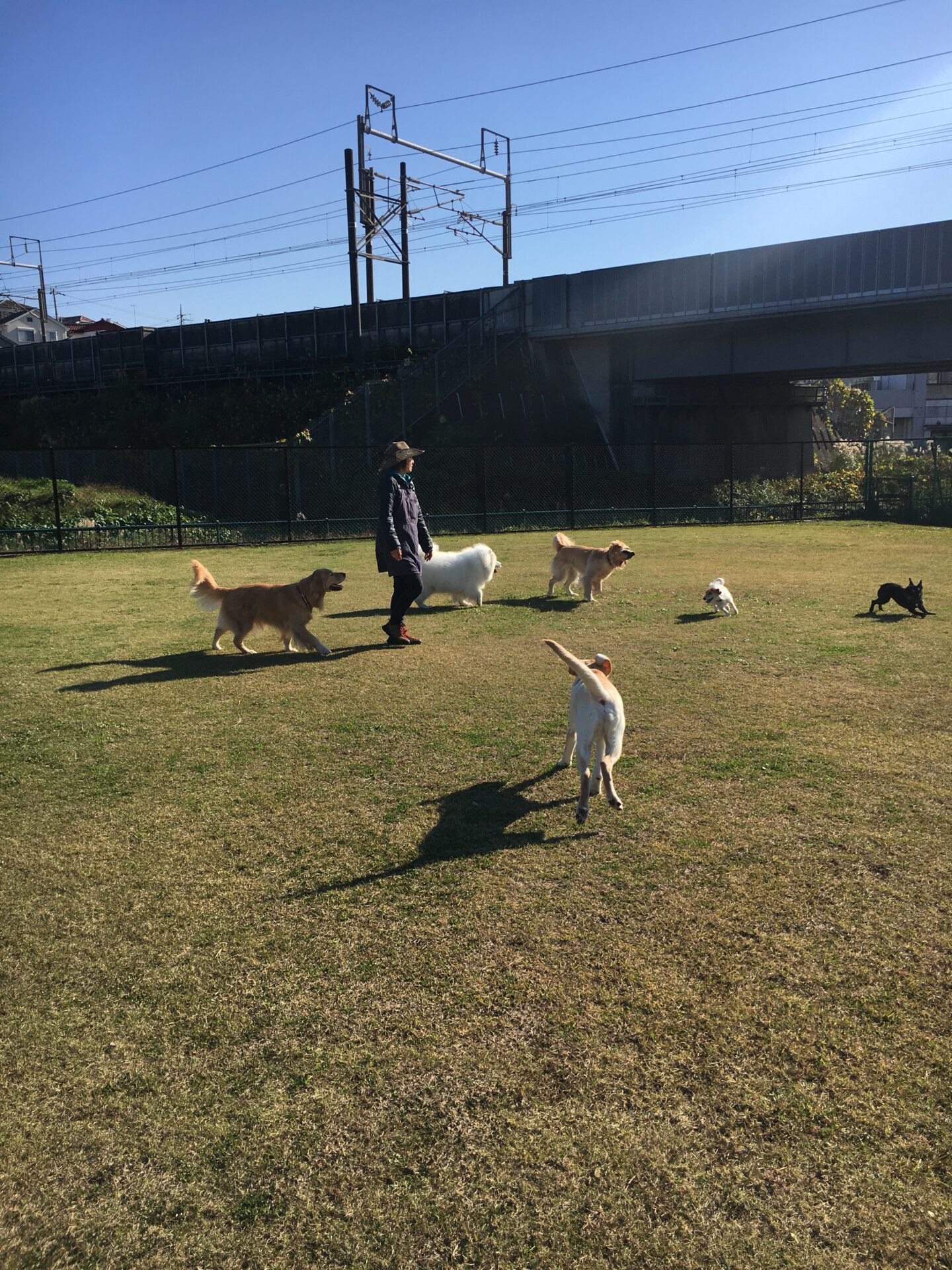 ファイル 8453-1.jpeg