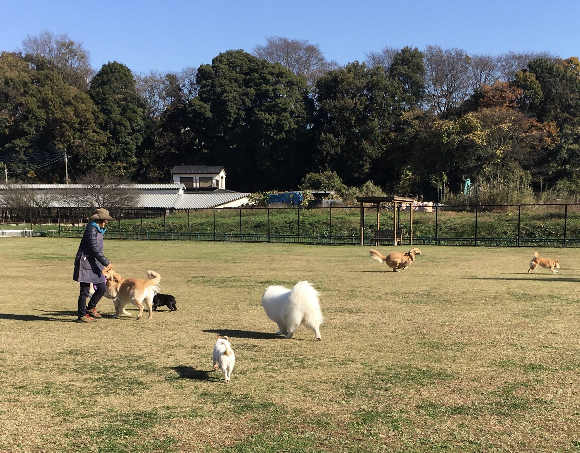 ファイル 8453-2.jpeg