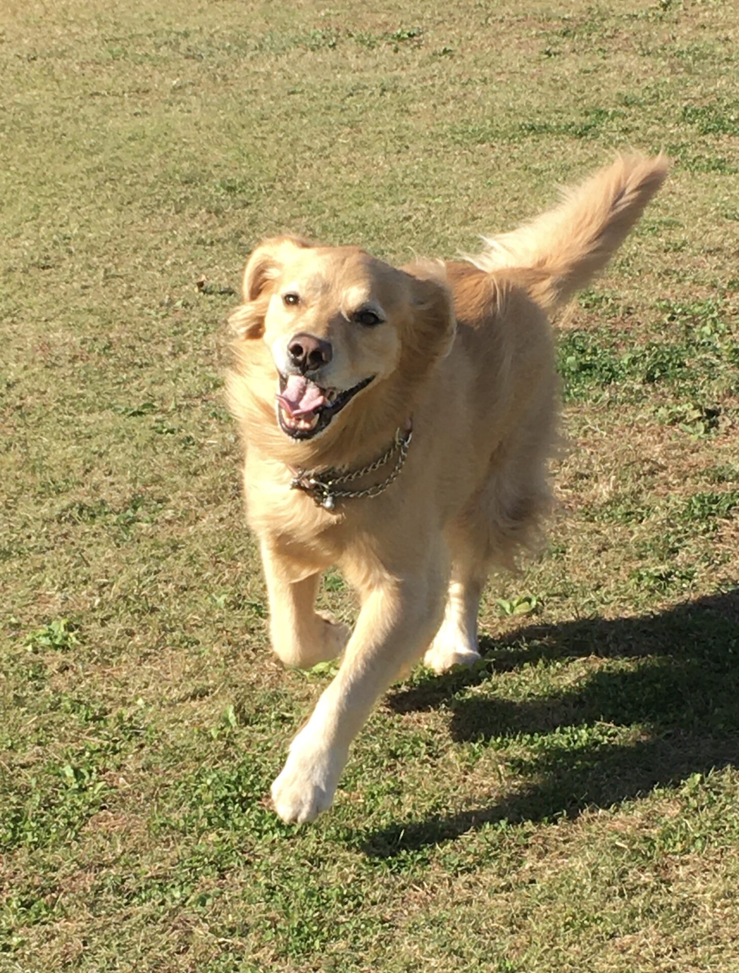 ファイル 8453-3.jpeg