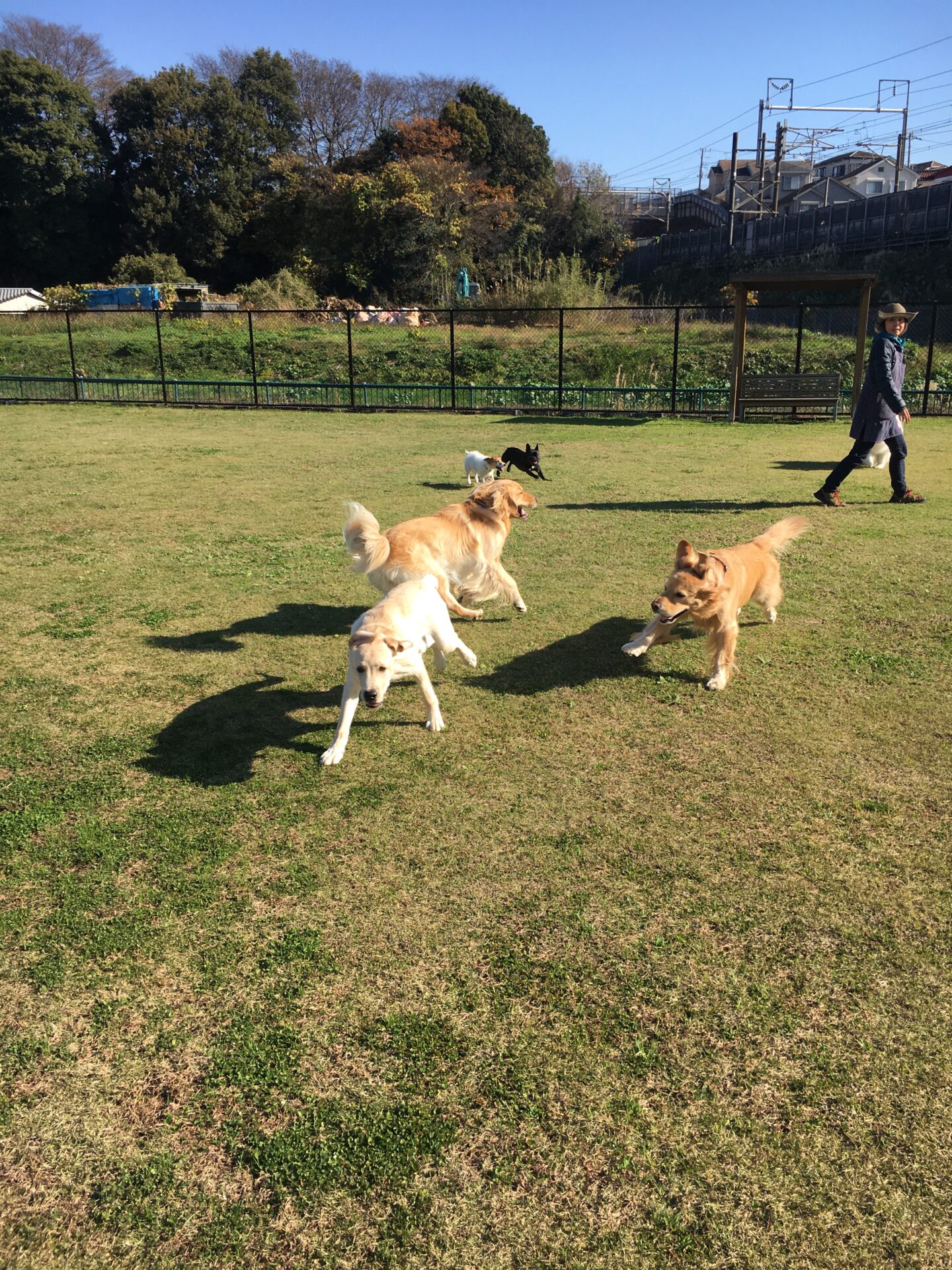 ファイル 8453-4.jpeg