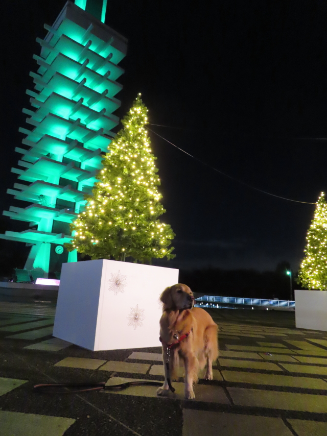 ファイル 8454-4.jpg