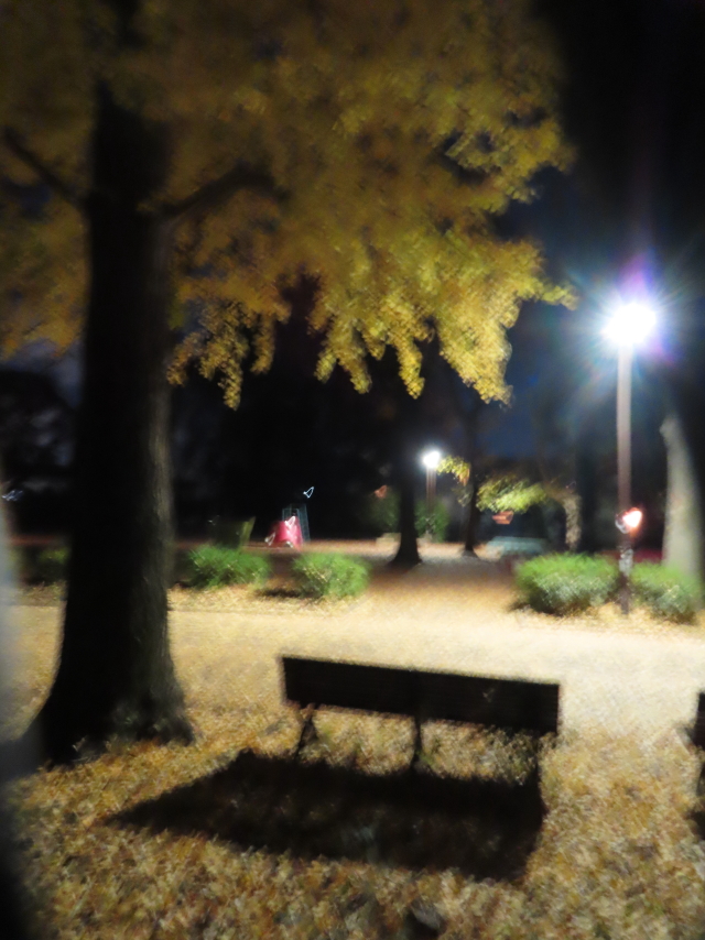 ファイル 8455-5.jpg