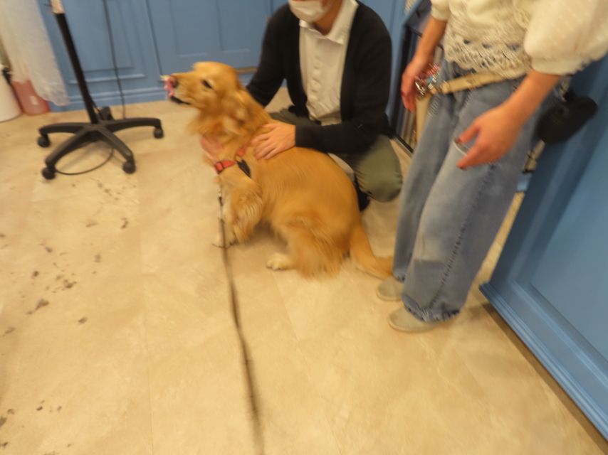 ファイル 8457-1.jpg