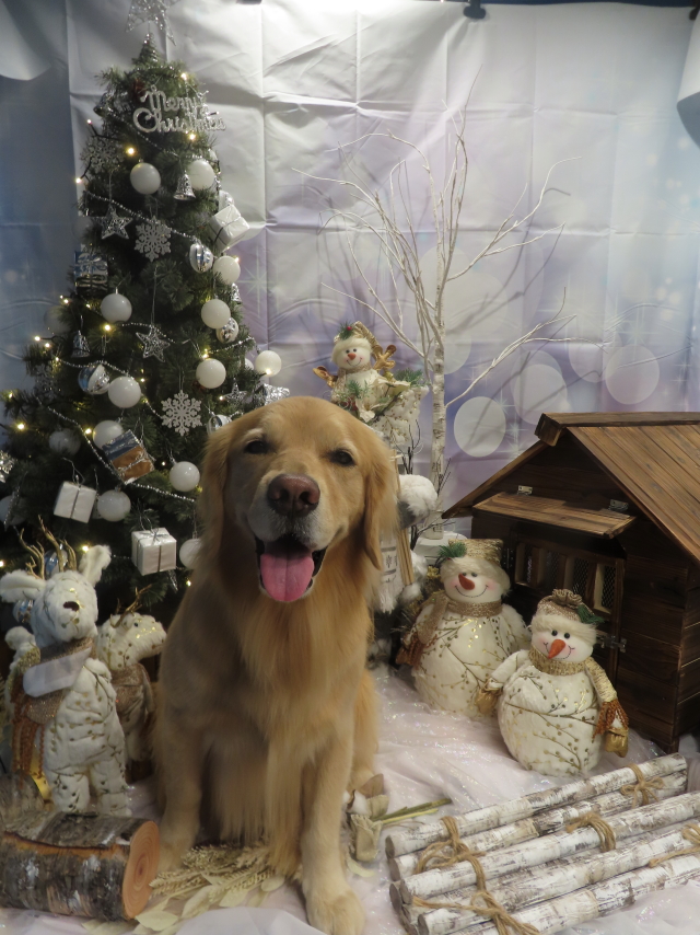 ファイル 8457-2.jpg