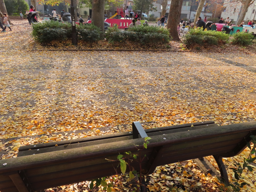 ファイル 8459-1.jpg