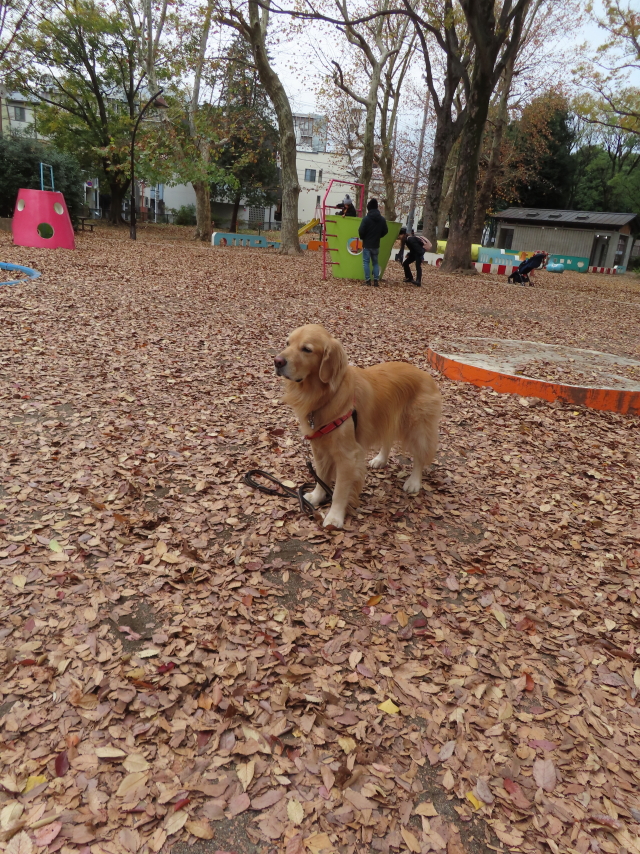 ファイル 8459-3.jpg