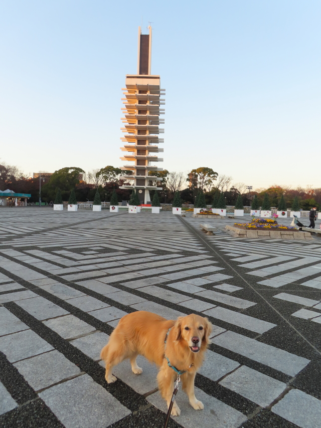 ファイル 8460-3.jpg