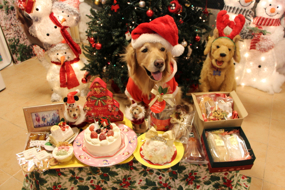 ファイル 8462-3.jpg