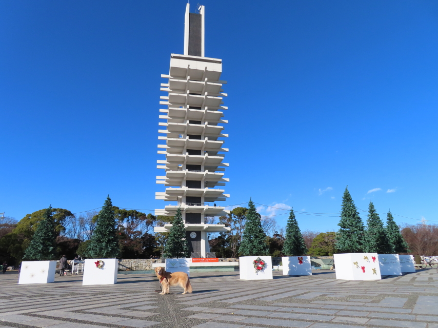 ファイル 8463-2.jpg