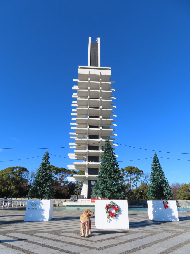 ファイル 8463-4.jpg