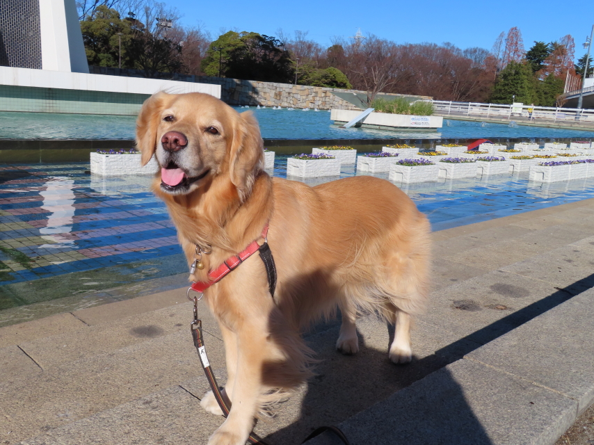 ファイル 8464-4.jpg