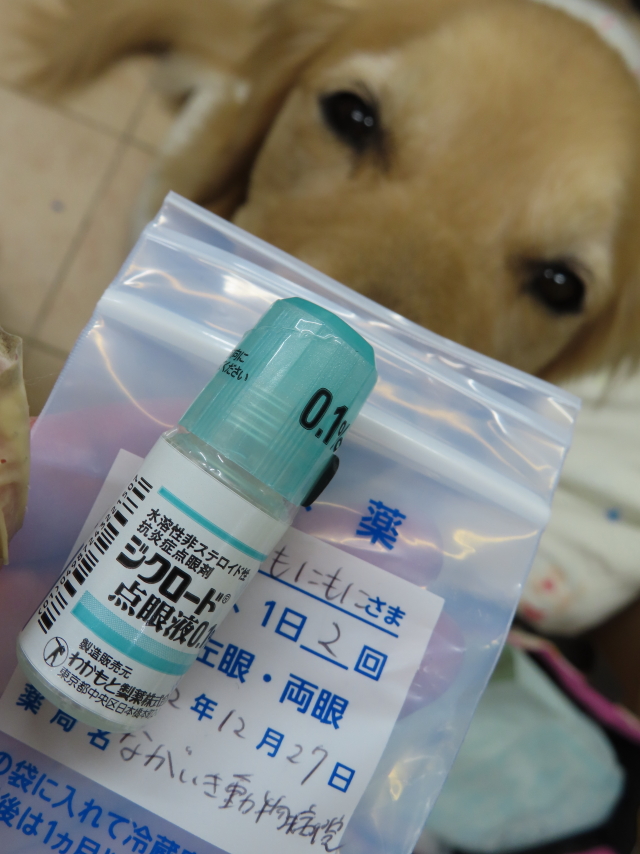 ファイル 8464-5.jpg