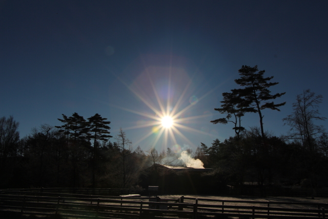 ファイル 8466-4.jpg