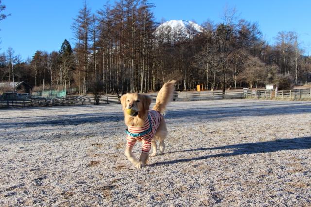 ファイル 8466-5.jpg