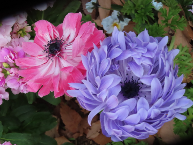 ファイル 8468-4.jpg