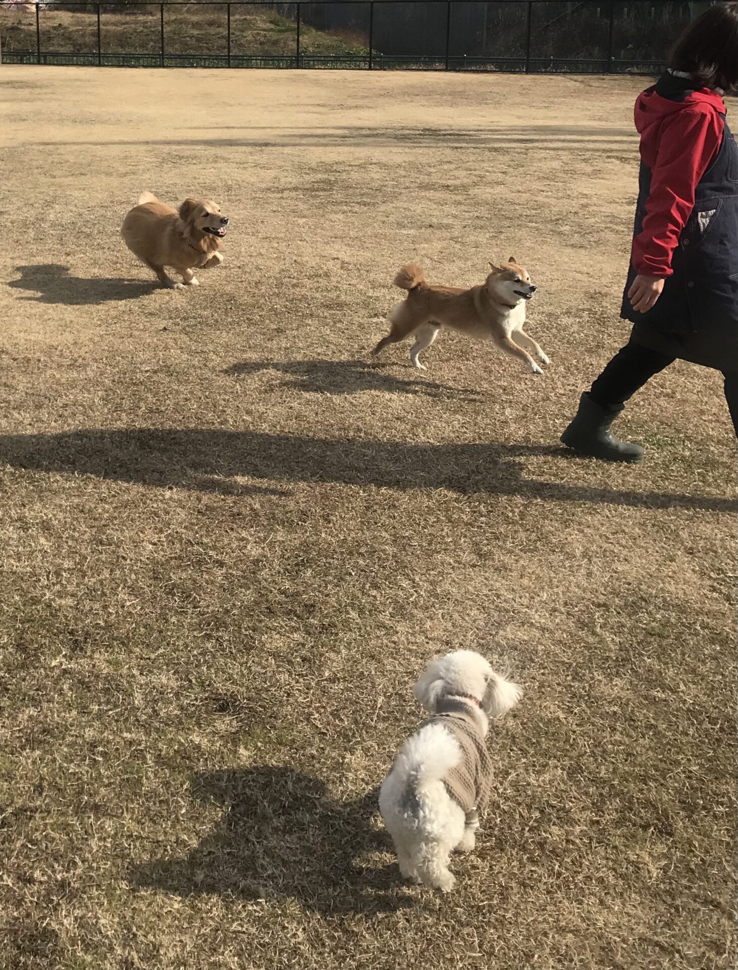 ファイル 8469-2.jpeg