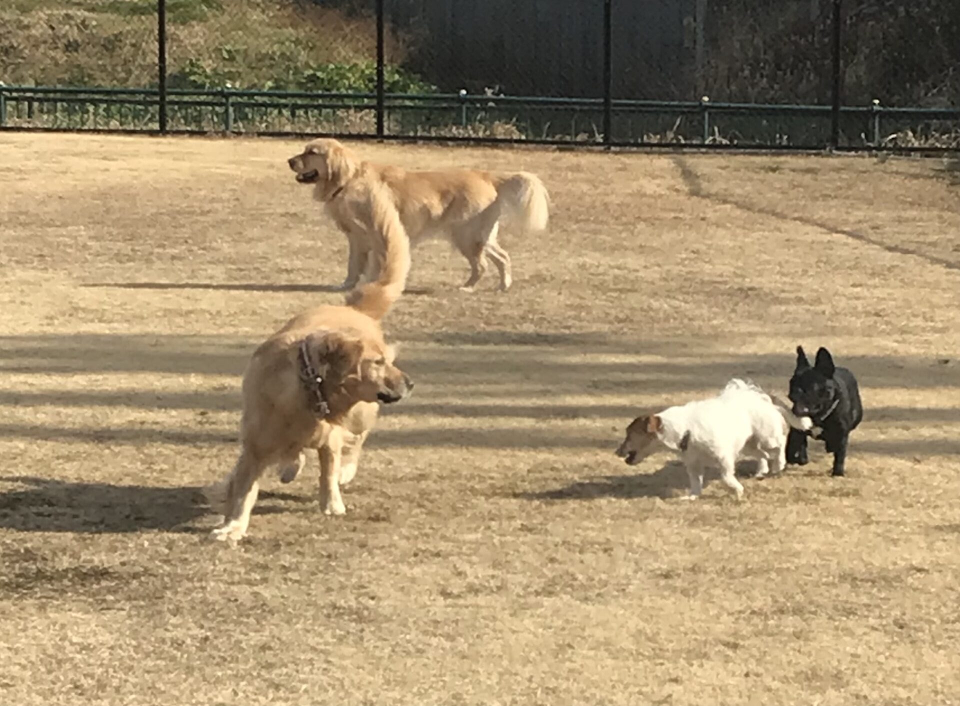 ファイル 8469-3.jpeg