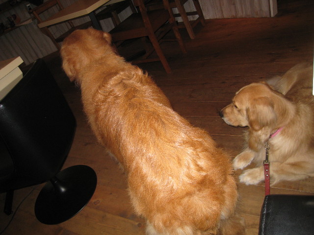 ファイル 847-1.jpg