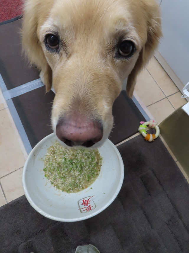 ファイル 8471-1.jpg