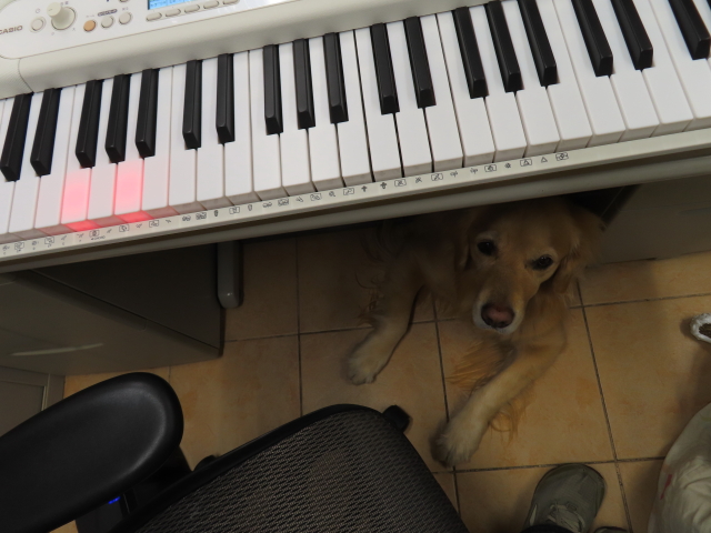 ファイル 8473-1.jpg