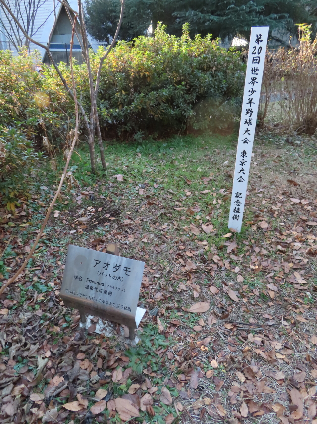 ファイル 8473-5.jpg