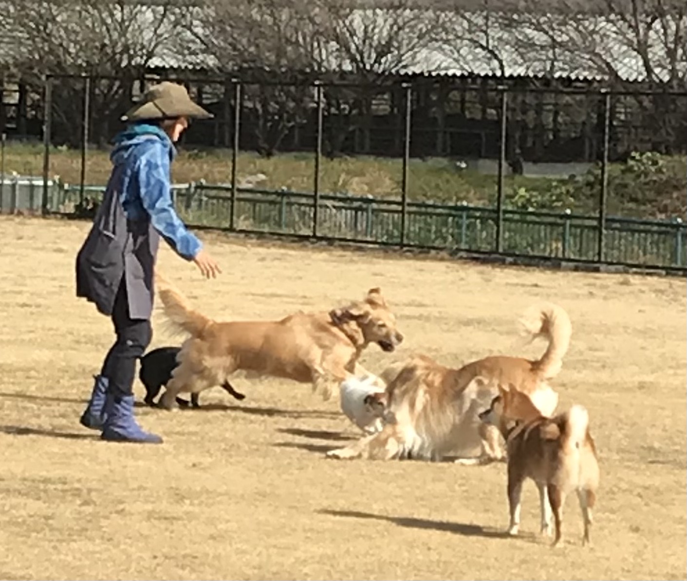 ファイル 8474-2.jpeg