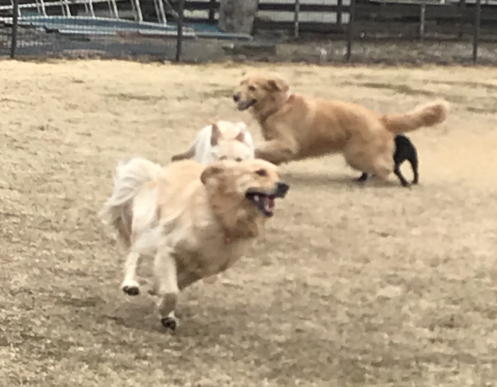 ファイル 8474-3.jpeg