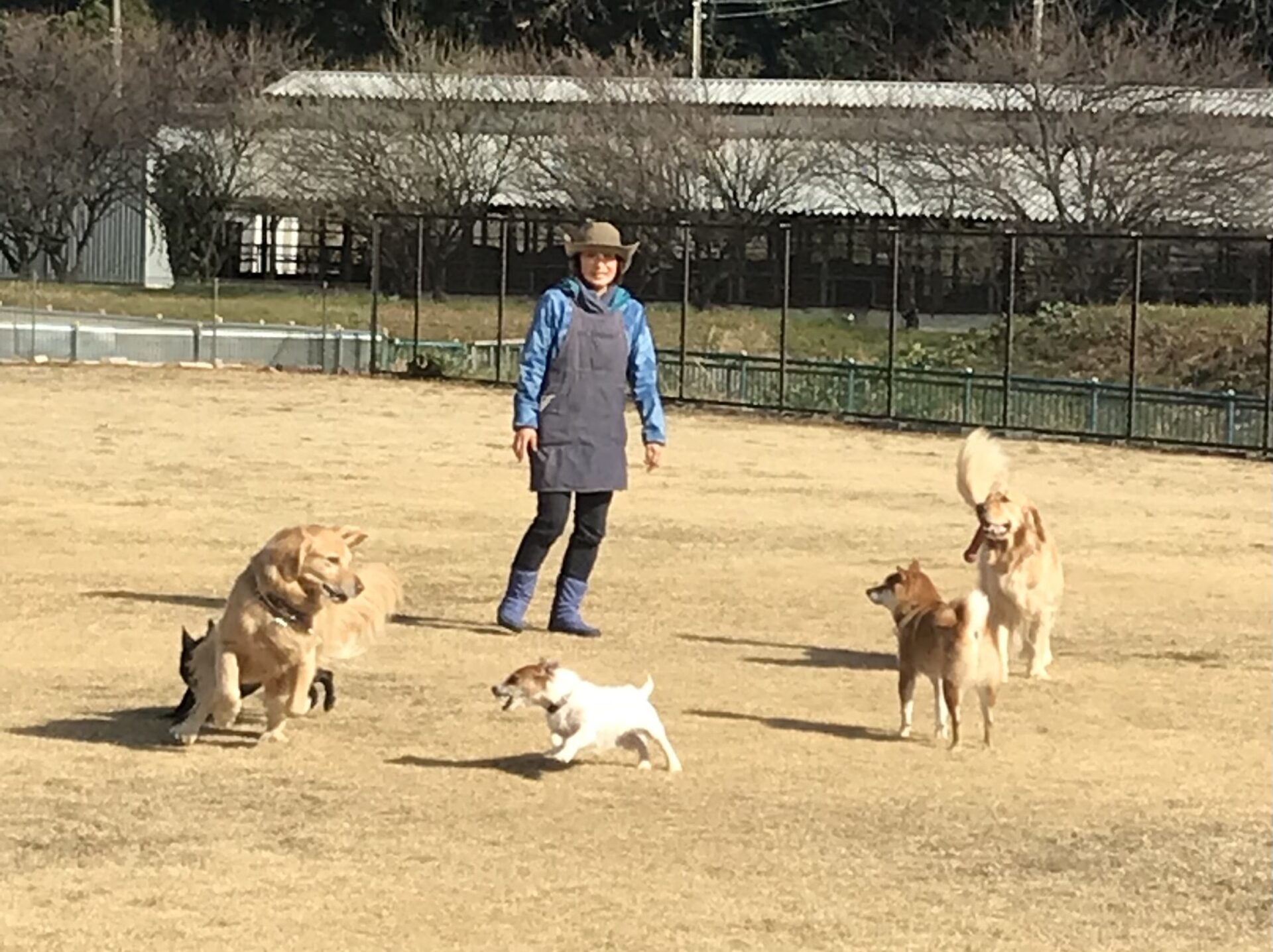 ファイル 8474-5.jpeg