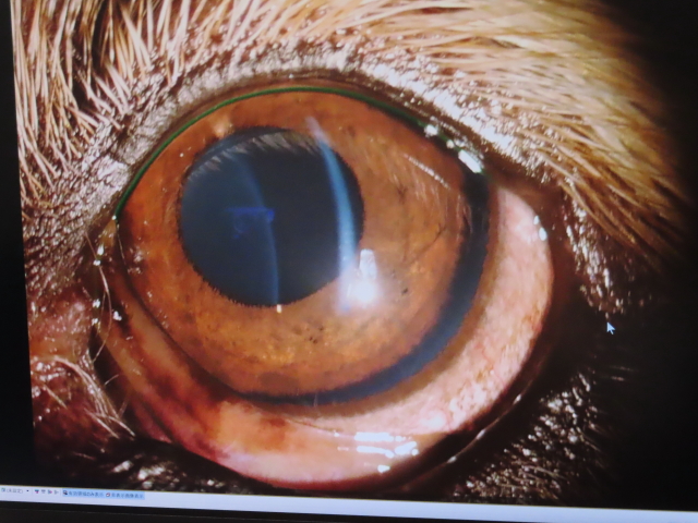 ファイル 8475-2.jpg