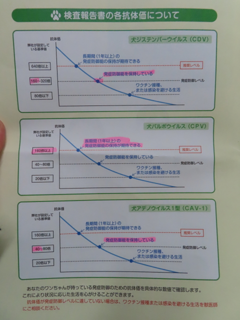 ファイル 8476-4.jpg