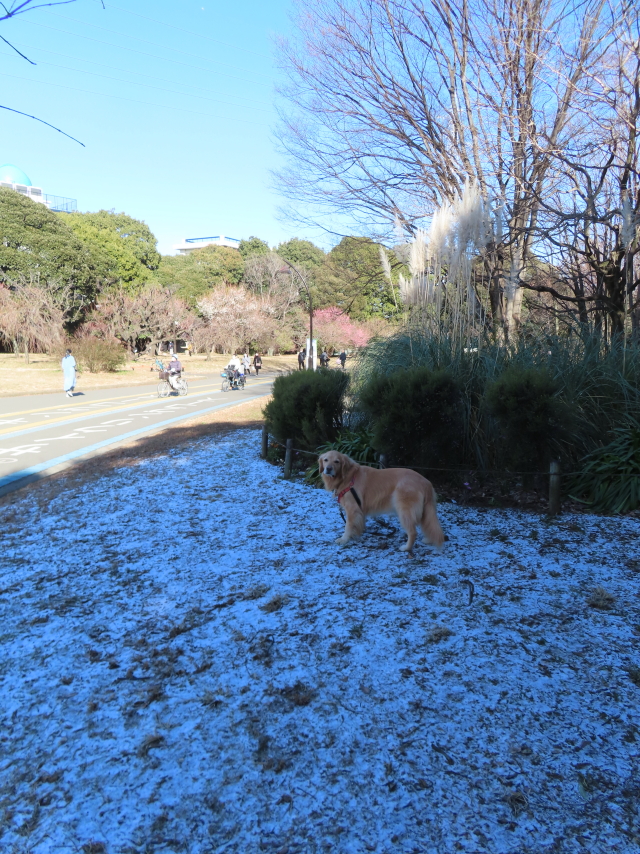 ファイル 8479-2.jpg