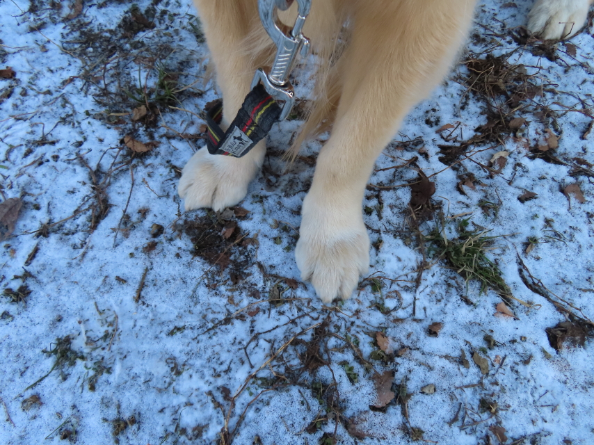 ファイル 8479-3.jpg