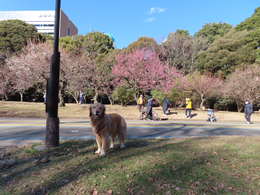 ファイル 8479-4.jpg