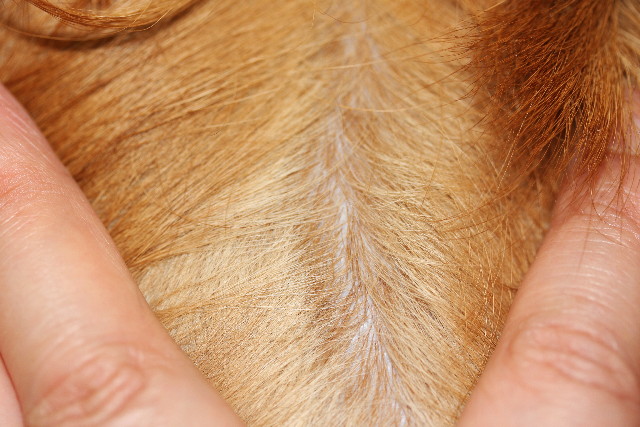 ファイル 848-2.jpg