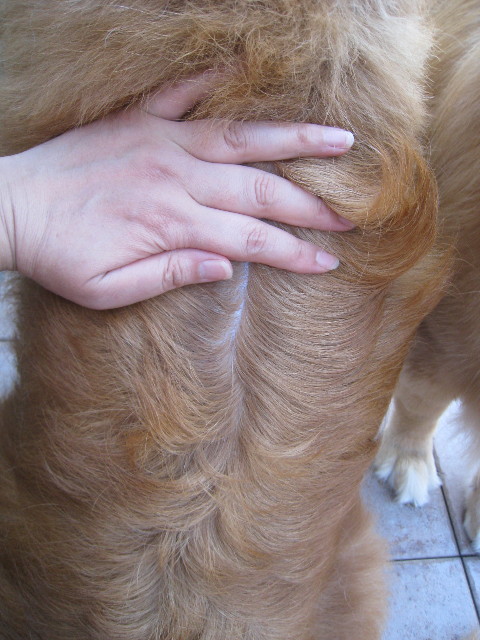 ファイル 848-3.jpg