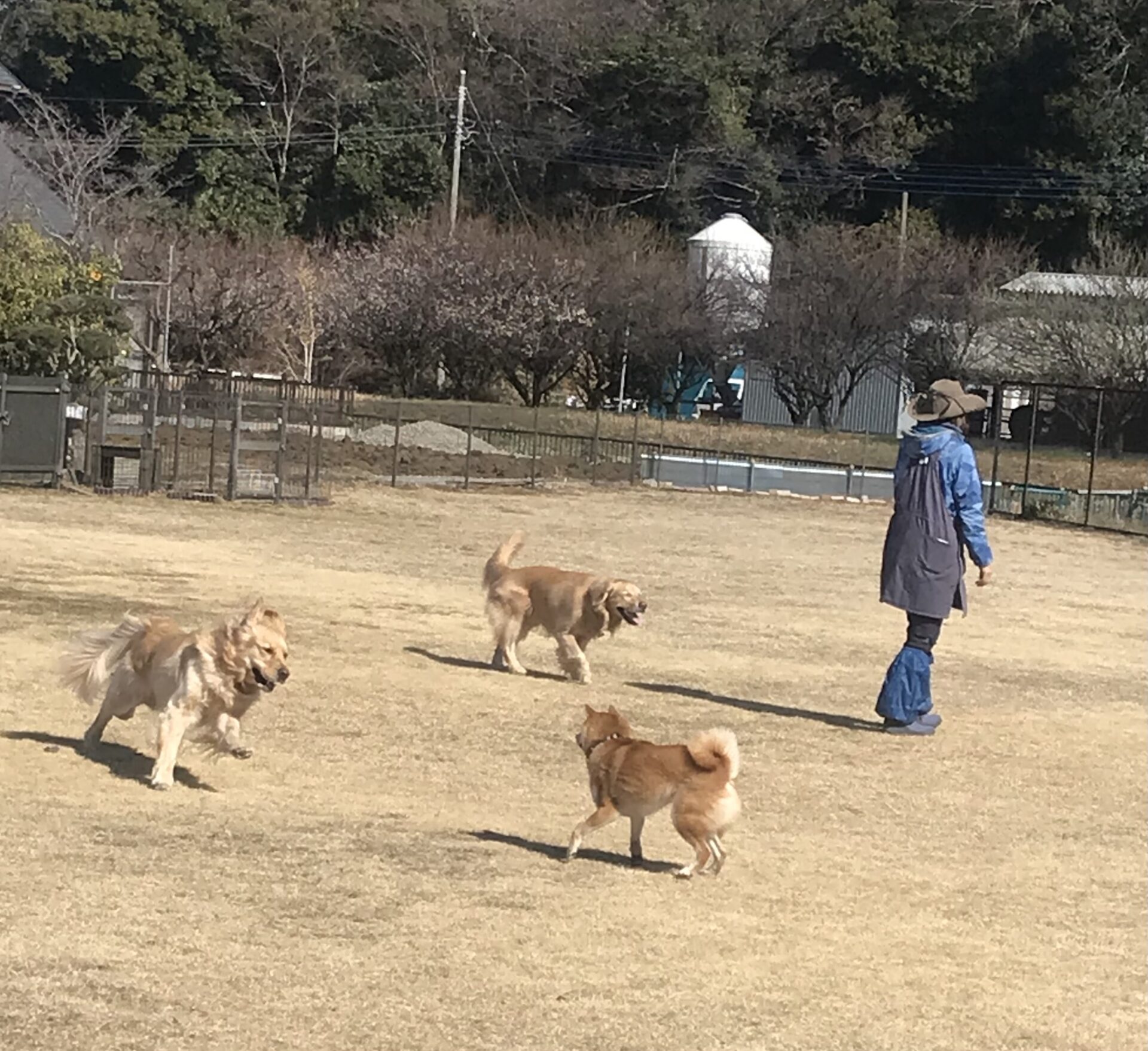 ファイル 8483-3.jpeg