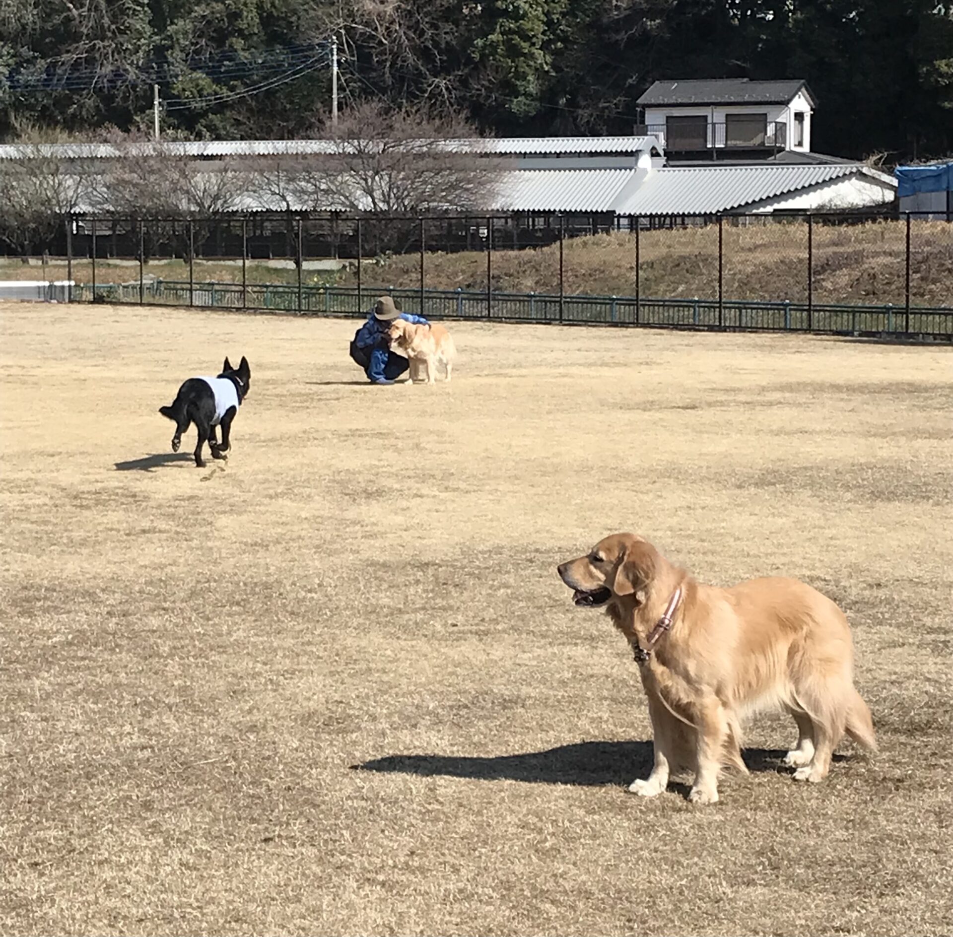 ファイル 8483-4.jpeg