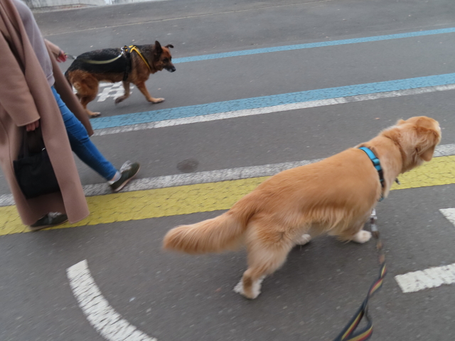 ファイル 8484-3.jpg