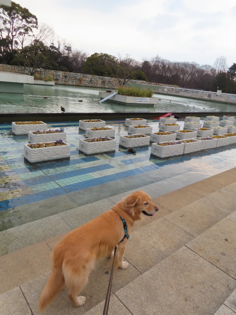 ファイル 8484-5.jpg