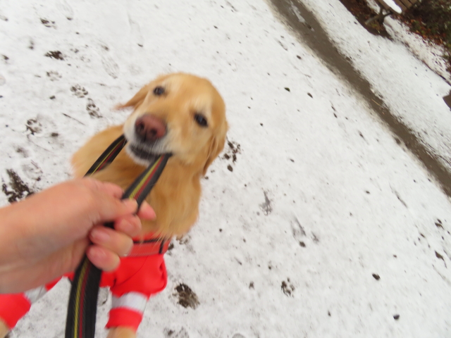 ファイル 8485-4.jpg