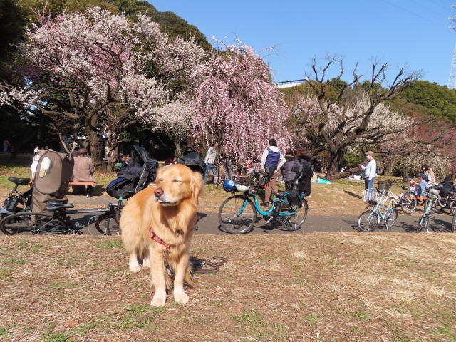 ファイル 8486-2.jpg