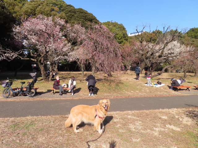 ファイル 8487-2.jpg