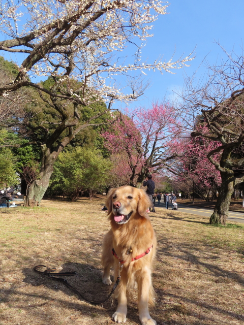 ファイル 8487-5.jpg