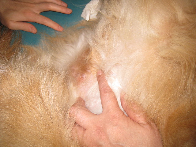 ファイル 849-3.jpg