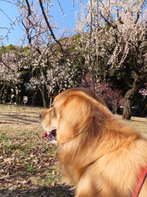 ファイル 8493-4.jpg